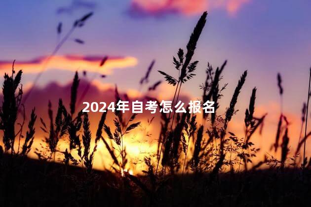 2024年自考怎么報(bào)名