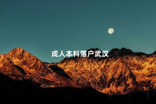 成人本科落戶武漢