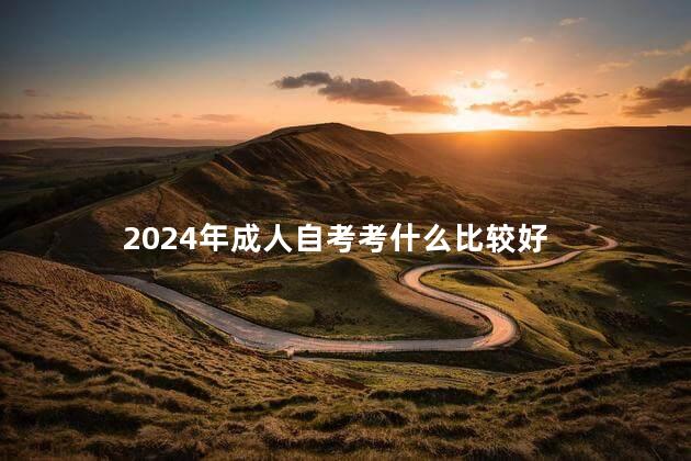 2024年成人自考考什么比較好